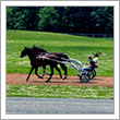 Jacobsburg Horse Farm